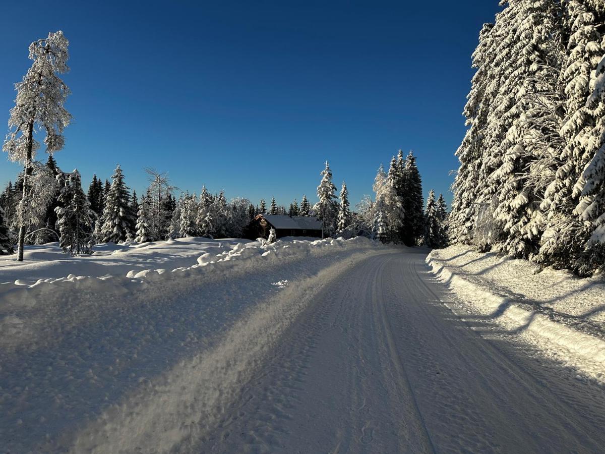 Sore Osen Orbekken Torberget Exterior foto