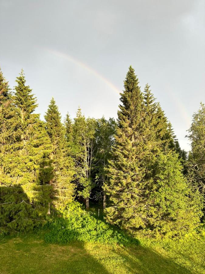 Sore Osen Orbekken Torberget Exterior foto