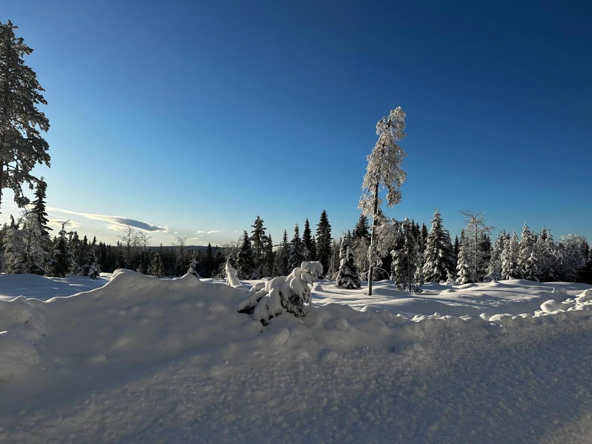 Sore Osen Orbekken Torberget Exterior foto