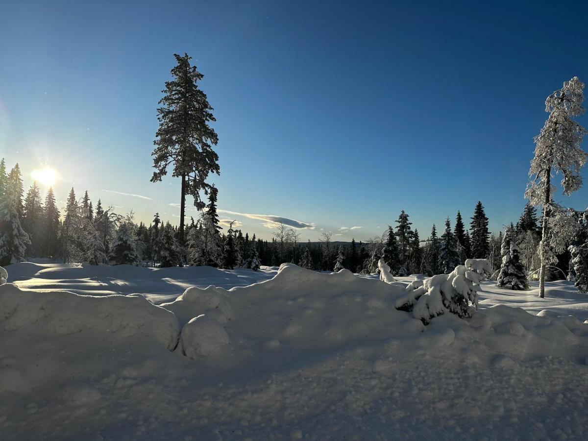 Sore Osen Orbekken Torberget Exterior foto