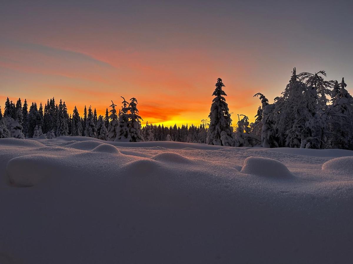 Sore Osen Orbekken Torberget Exterior foto