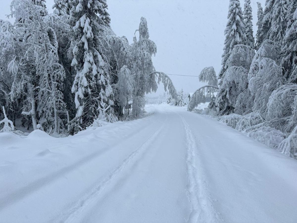 Sore Osen Orbekken Torberget Exterior foto